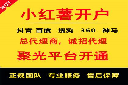 某知名品牌SEM运营策略及效果评估